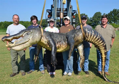 monster crock